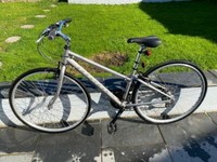 ridgeback velocity 2012
